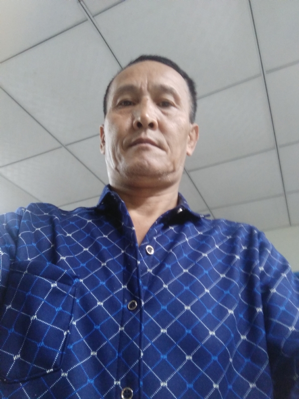 老树的第二张照片--晋江征婚网