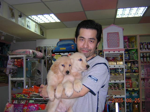 陈道明的第六张照片--晋江征婚网