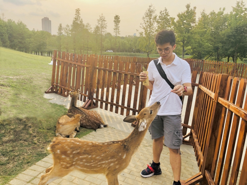 米兰的小铁匠的第一张照片--晋江征婚网